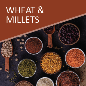 WHEAT and MILLETS